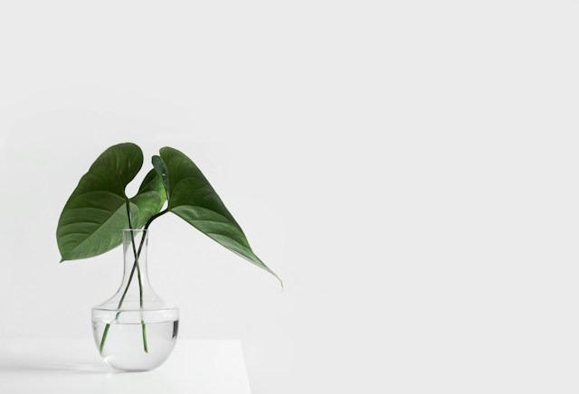 leaf stems in a glass on a table minimalistic style